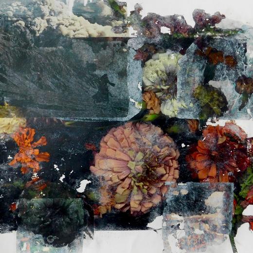 Cover art for Insulting Flora by Opposite Tiger, engineered at Empowered Recordings