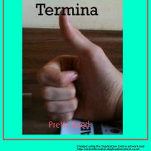 Cover art for Pretty Good by Termina, engineered at Empowered Recordings